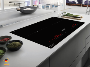 Bếp điện từ Erika EK-331